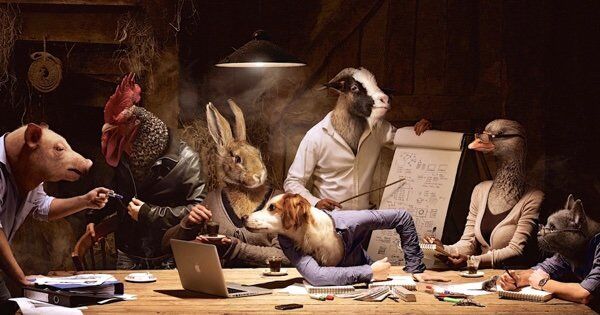 animals_people.jpg В мире животных