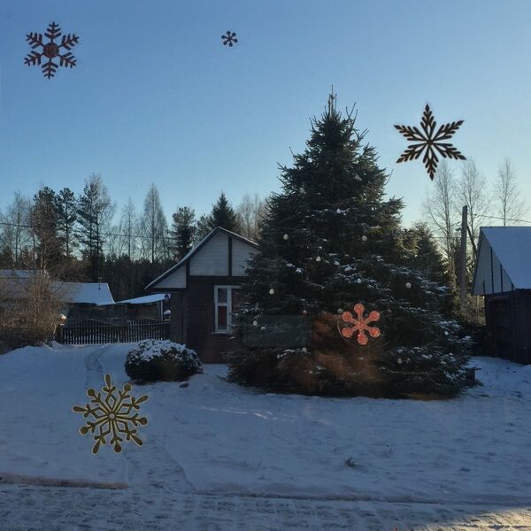 dacha_tree.jpg Ёлочка