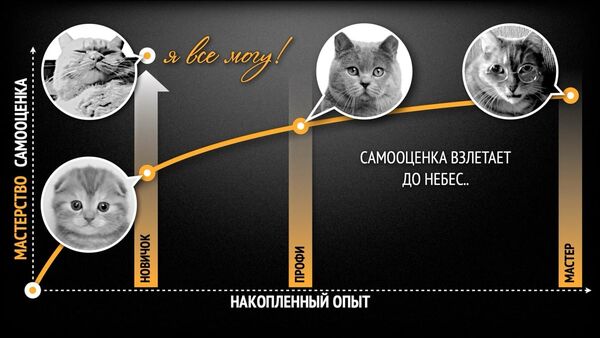 дан2