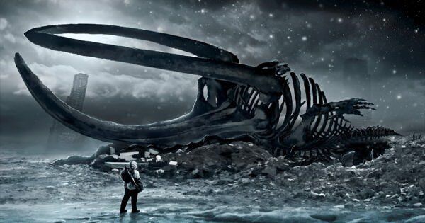 dead_whale.jpg Киты мёртвого моря