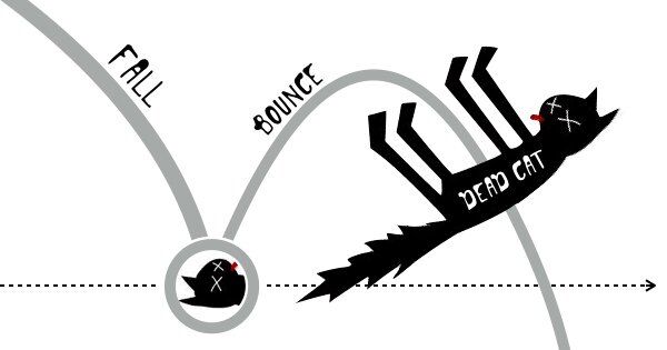 deadcatbounce.jpg Dead cat bounce
