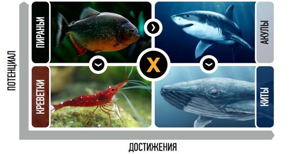 Рыбная матрица