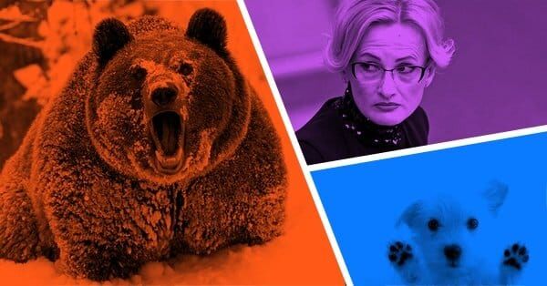 Пакет Яровой