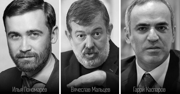 Илья Пономарёв, Владимир Мальцев, Гарри Каспаров, политики