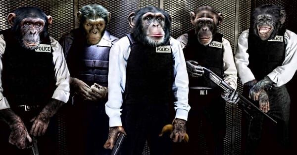 monkey_police.jpg Обезьяны -- полицейские
