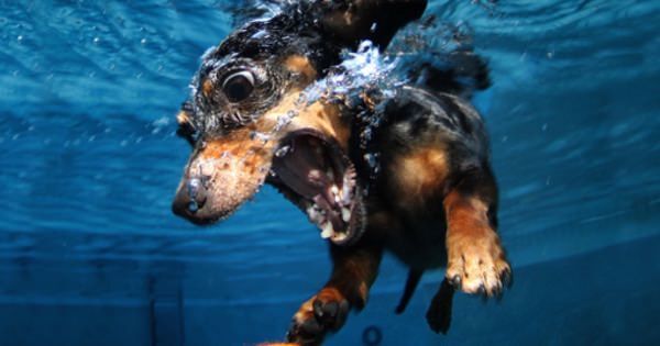 morning_water.jpg Как проснуться утром - контрастный душ