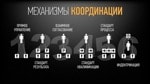 Мотивация персонала: механизмы координации