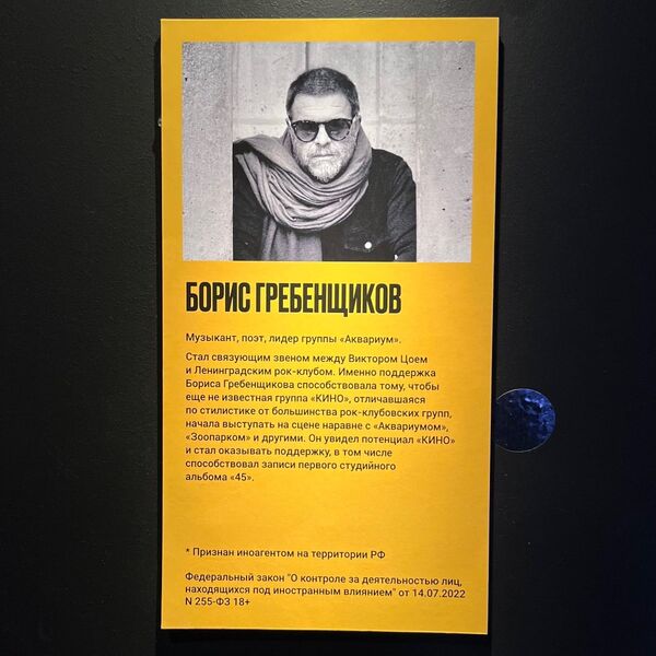 Иноагент Гребенщиков